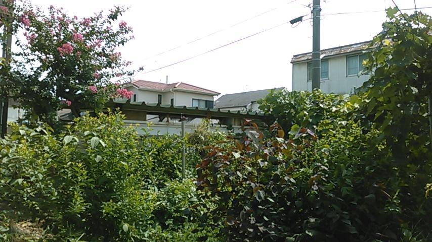 "Cherry House" Is Direct To Narita,Haneda Ap, Disney, Asakusa, Skytree Tower, Tokyo Matsudo Zewnętrze zdjęcie